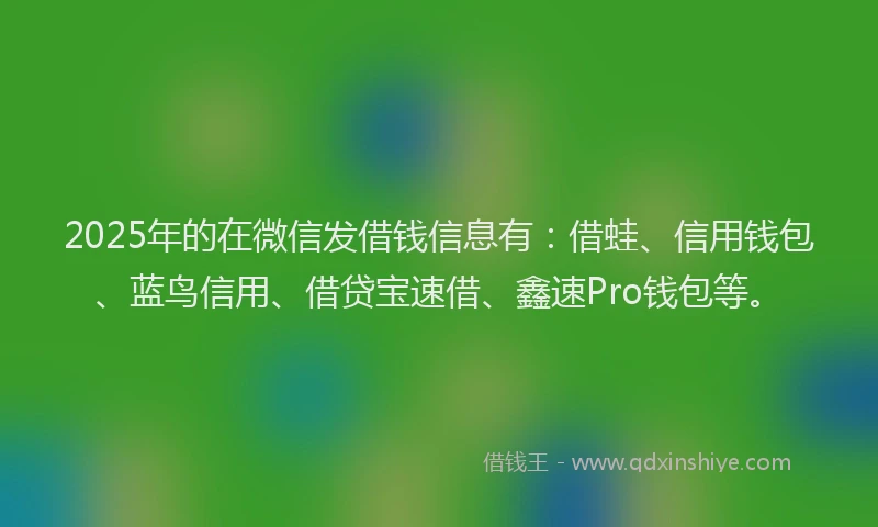 2025年的在微信发借钱信息有：借蛙、信用钱包、蓝鸟信用、借贷宝速借、鑫速Pro钱包等。