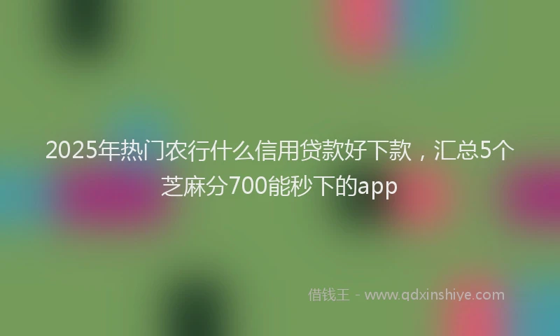 2025年热门农行什么信用贷款好下款，汇总5个芝麻分700能秒下的app