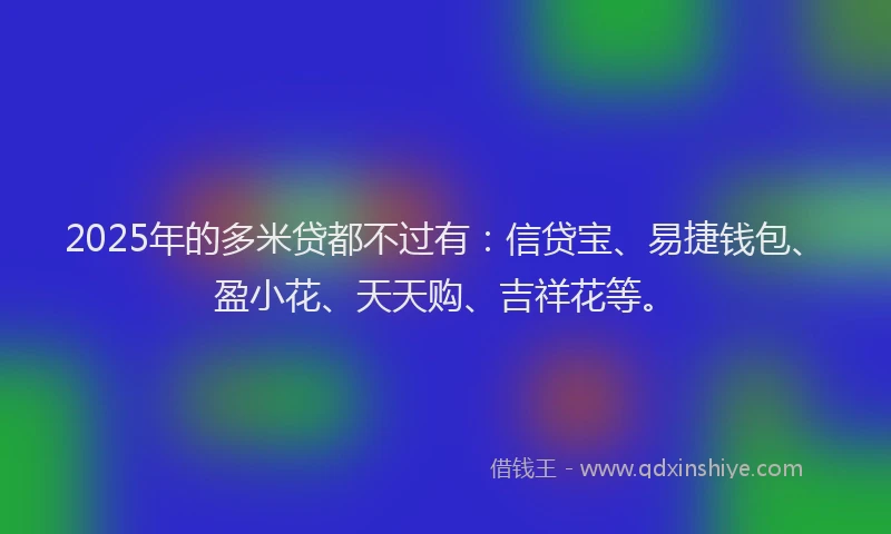 2025年的多米贷都不过有：信贷宝、易捷钱包、盈小花、天天购、吉祥花等。