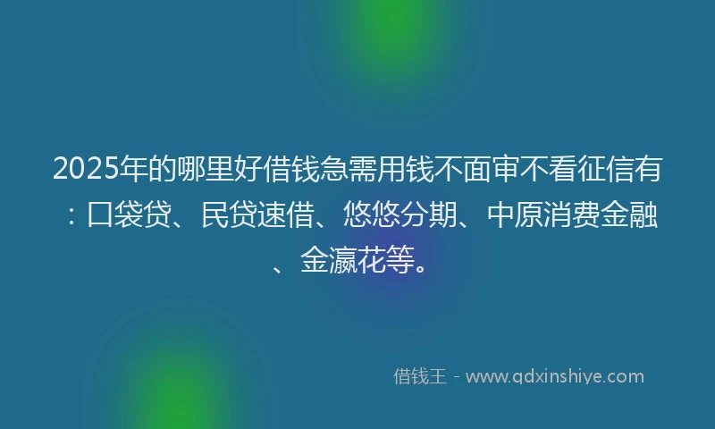 2025年的哪里好借钱急需用钱不面审不看征信有：口袋贷、民贷速借、悠悠分期、中原消费金融、金瀛花等。