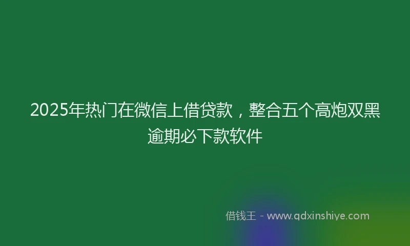 2025年热门在微信上借贷款，整合五个高炮双黑逾期必下款软件