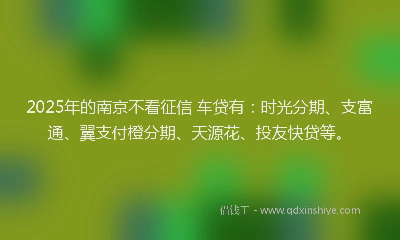 2025年的南京不看征信 车贷有：时光分期、支富通、翼支付橙分期、天源花、投友快贷等。