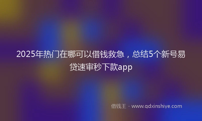 2025年热门在哪可以借钱救急，总结5个新号易贷速审秒下款app