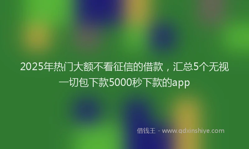 2025年热门大额不看征信的借款，汇总5个无视一切包下款5000秒下款的app