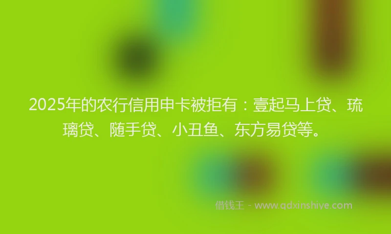 2025年的农行信用申卡被拒有：壹起马上贷、琉璃贷、随手贷、小丑鱼、东方易贷等。