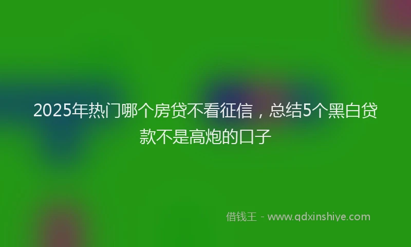 2025年热门哪个房贷不看征信，总结5个黑白贷款不是高炮的口子
