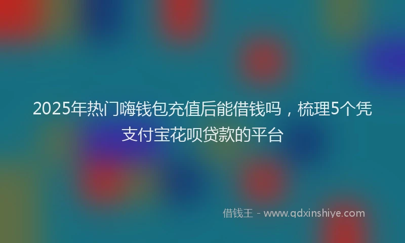 2025年热门嗨钱包充值后能借钱吗，梳理5个凭支付宝花呗贷款的平台