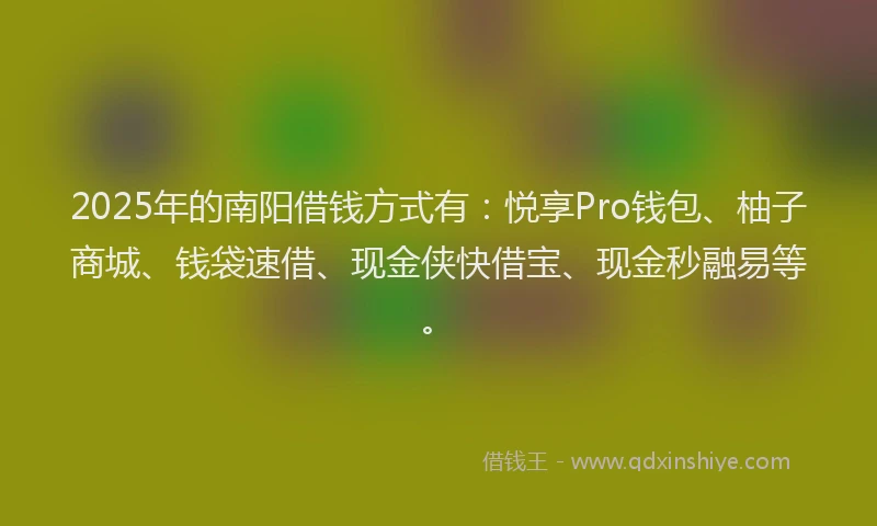 2025年的南阳借钱方式有：悦享Pro钱包、柚子商城、钱袋速借、现金侠快借宝、现金秒融易等。