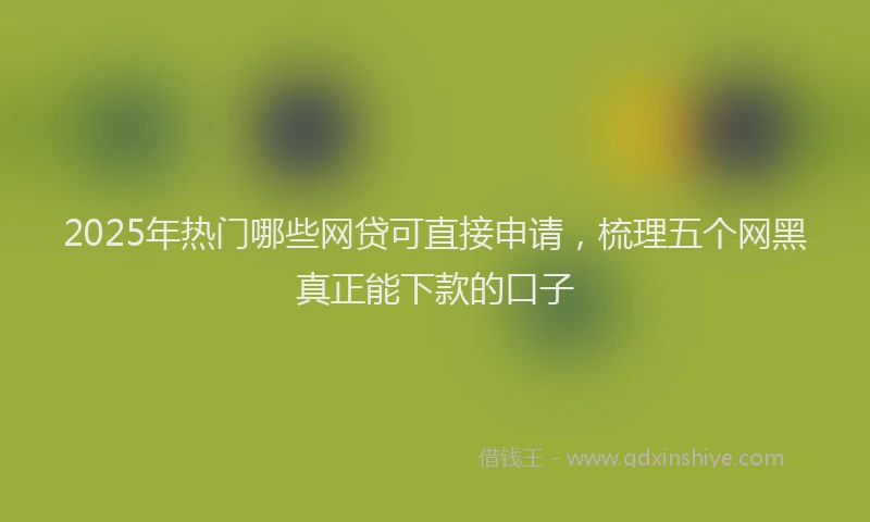 2025年热门哪些网贷可直接申请，梳理五个网黑真正能下款的口子