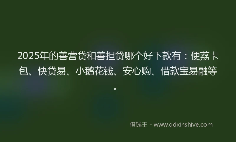 2025年的善营贷和善担贷哪个好下款有：便荔卡包、快贷易、小鹅花钱、安心购、借款宝易融等。