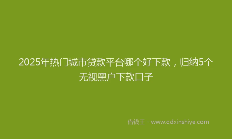 2025年热门城市贷款平台哪个好下款，归纳5个无视黑户下款口子