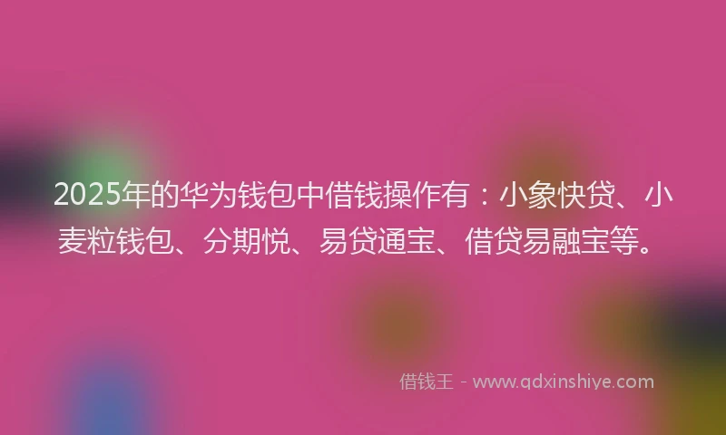 2025年的华为钱包中借钱操作有：小象快贷、小麦粒钱包、分期悦、易贷通宝、借贷易融宝等。