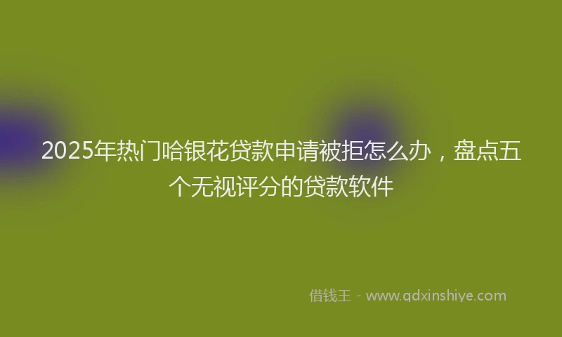 2025年热门哈银花贷款申请被拒怎么办，盘点五个无视评分的贷款软件