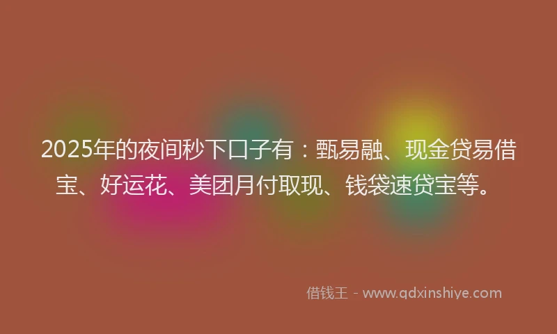 2025年的夜间秒下口子有：甄易融、现金贷易借宝、好运花、美团月付取现、钱袋速贷宝等。