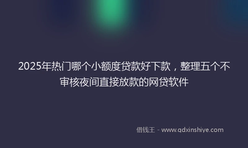 2025年热门哪个小额度贷款好下款，整理五个不审核夜间直接放款的网贷软件