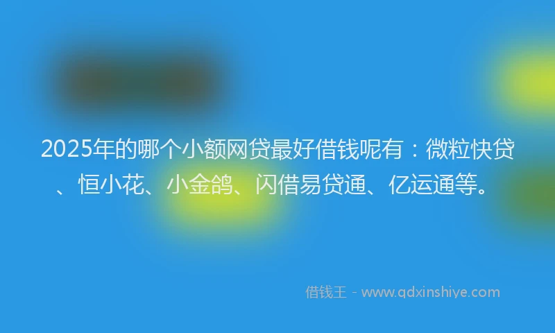2025年的哪个小额网贷最好借钱呢有：微粒快贷、恒小花、小金鸽、闪借易贷通、亿运通等。