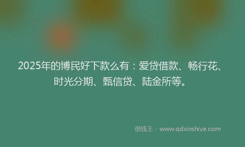 2025年的博民好下款么有：爱贷借款、畅行花、时光分期、甄信贷、陆金所等。