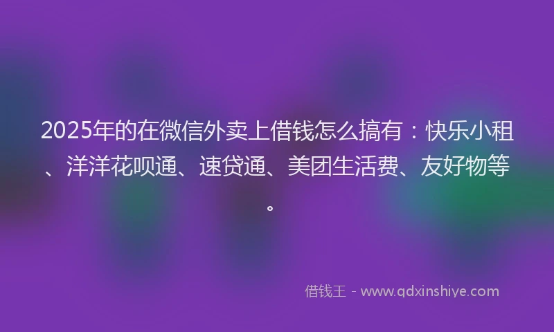 2025年的在微信外卖上借钱怎么搞有：快乐小租、洋洋花呗通、速贷通、美团生活费、友好物等。