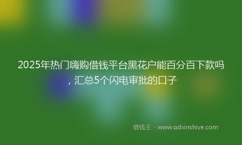 2025年热门嗨购借钱平台黑花户能百分百下款吗，汇总5个闪电审批的口子