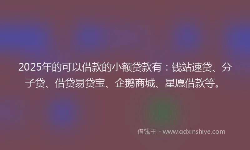 2025年的可以借款的小额贷款有：钱站速贷、分子贷、借贷易贷宝、企鹅商城、星愿借款等。