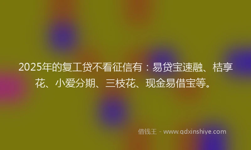 2025年的复工贷不看征信有：易贷宝速融、桔享花、小爱分期、三枝花、现金易借宝等。