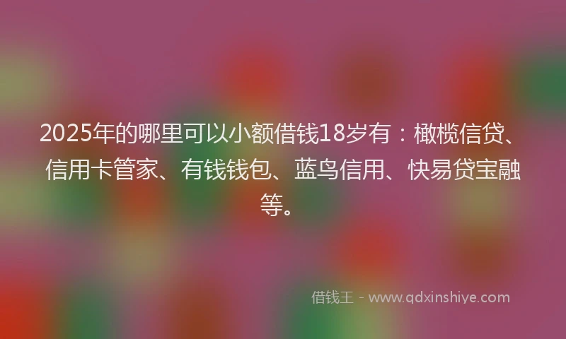 2025年的哪里可以小额借钱18岁有：橄榄信贷、信用卡管家、有钱钱包、蓝鸟信用、快易贷宝融等。