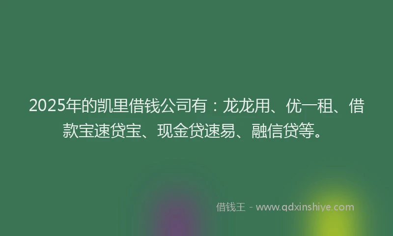 2025年的凯里借钱公司有：龙龙用、优一租、借款宝速贷宝、现金贷速易、融信贷等。