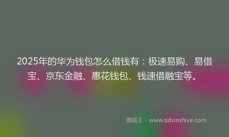 2025年的华为钱包怎么借钱有：极速易购、易借宝、京东金融、惠花钱包、钱速借融宝等。