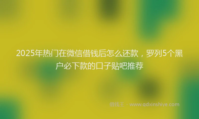 2025年热门在微信借钱后怎么还款，罗列5个黑户必下款的口子贴吧推荐