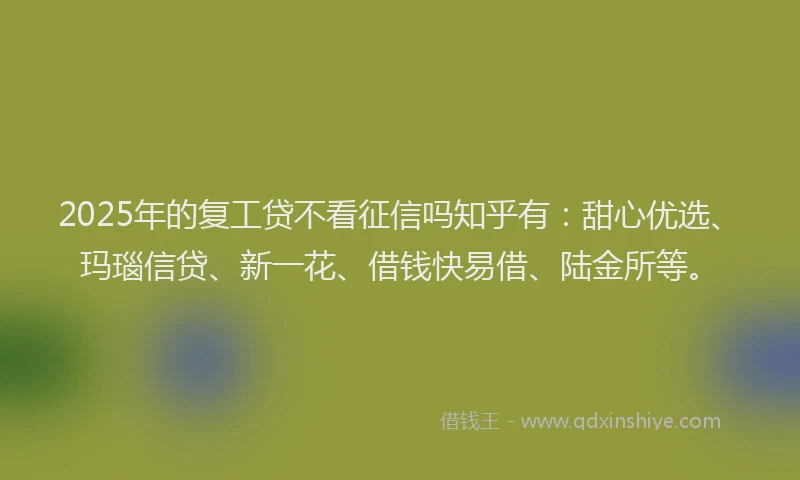 2025年的复工贷不看征信吗知乎有：甜心优选、玛瑙信贷、新一花、借钱快易借、陆金所等。