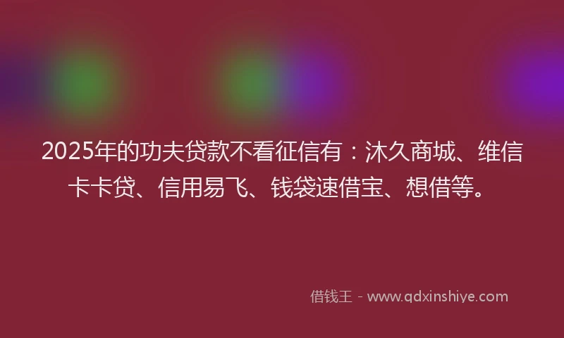 2025年的功夫贷款不看征信有：沐久商城、维信卡卡贷、信用易飞、钱袋速借宝、想借等。