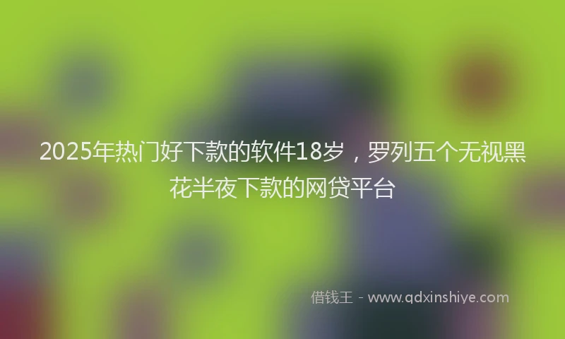 2025年热门好下款的软件18岁，罗列五个无视黑花半夜下款的网贷平台