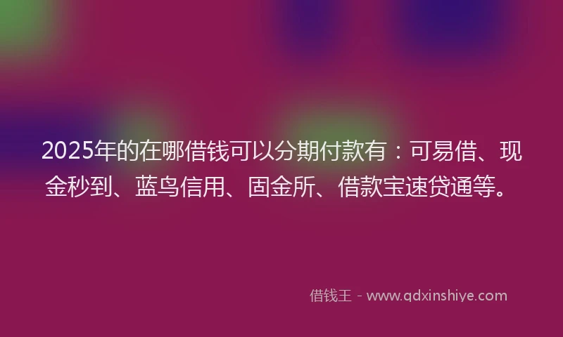2025年的在哪借钱可以分期付款有：可易借、现金秒到、蓝鸟信用、固金所、借款宝速贷通等。
