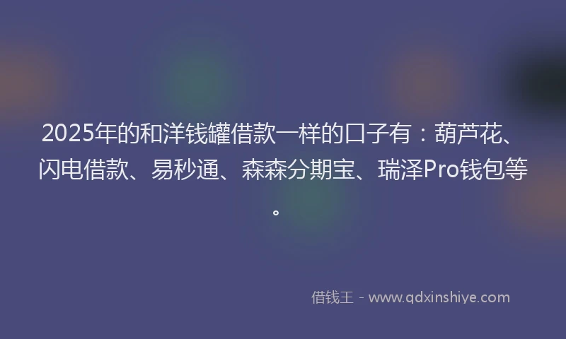 2025年的和洋钱罐借款一样的口子有：葫芦花、闪电借款、易秒通、森森分期宝、瑞泽Pro钱包等。