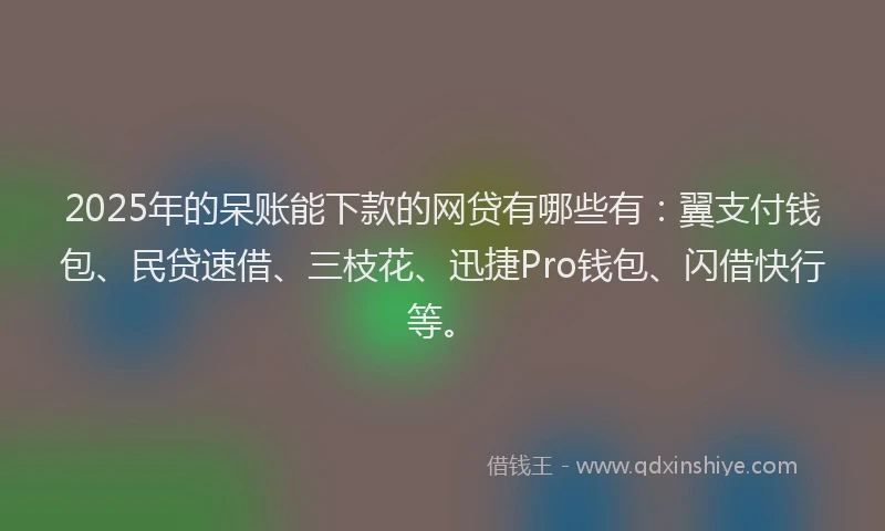 2025年的呆账能下款的网贷有哪些有：翼支付钱包、民贷速借、三枝花、迅捷Pro钱包、闪借快行等。