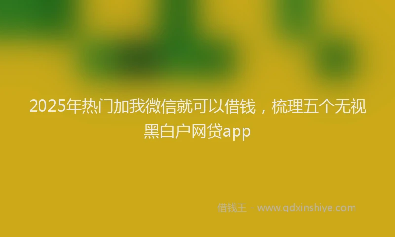 2025年热门加我微信就可以借钱，梳理五个无视黑白户网贷app