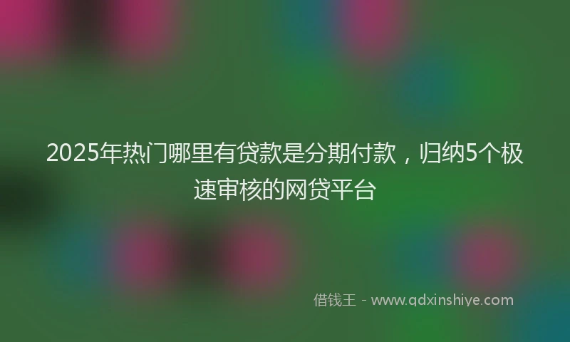 2025年热门哪里有贷款是分期付款，归纳5个极速审核的网贷平台