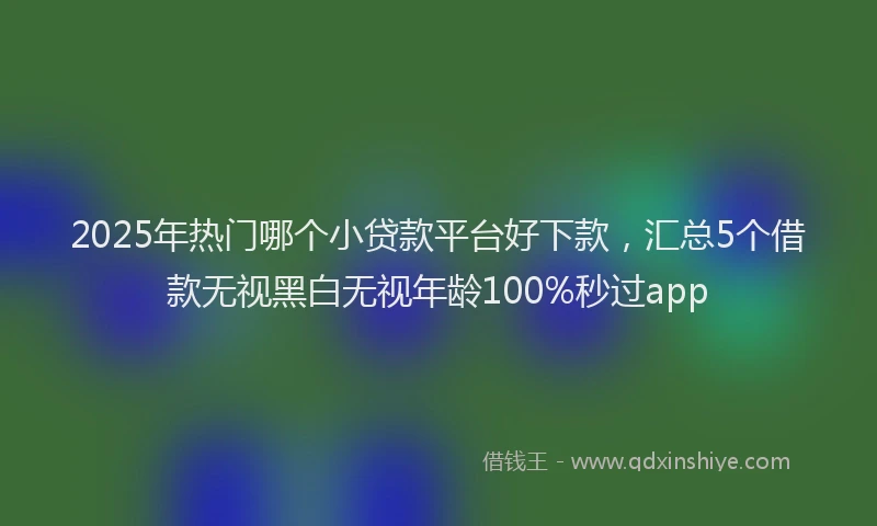 2025年热门哪个小贷款平台好下款，汇总5个借款无视黑白无视年龄100%秒过app