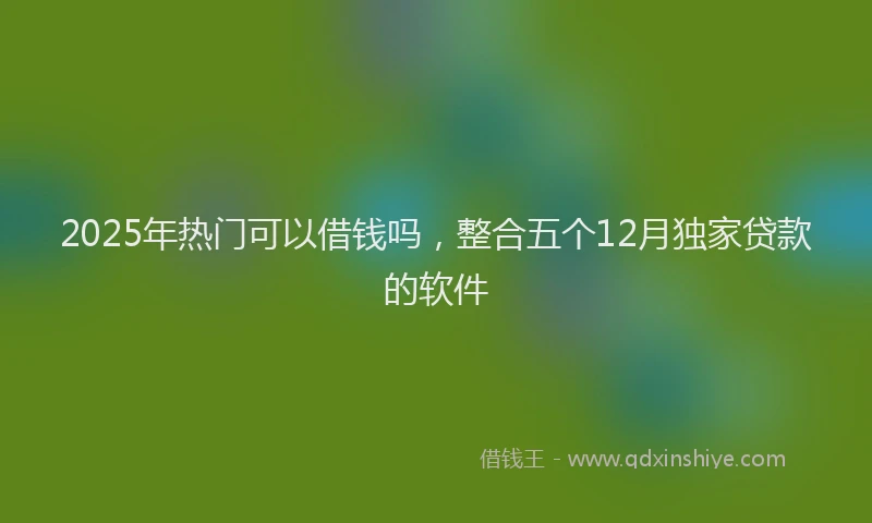 2025年热门可以借钱吗，整合五个12月独家贷款的软件