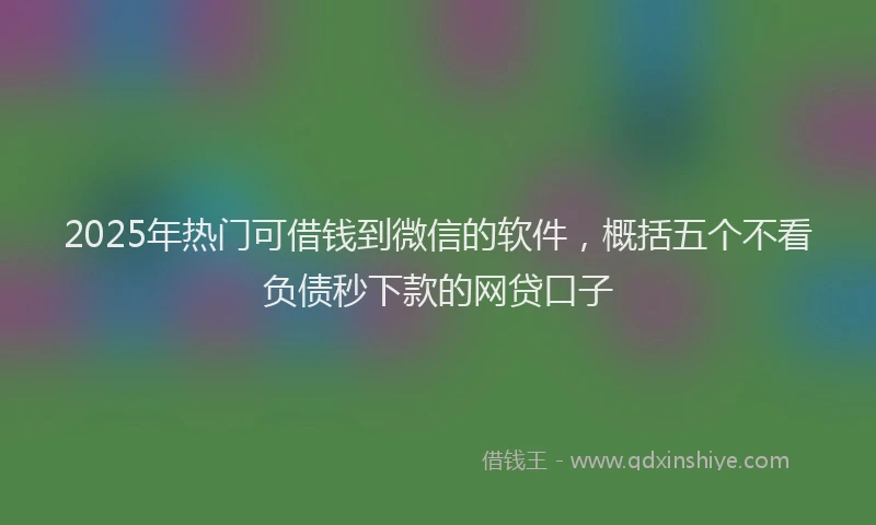 2025年热门可借钱到微信的软件，概括五个不看负债秒下款的网贷口子