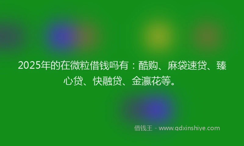 2025年的在微粒借钱吗有：酷购、麻袋速贷、臻心贷、快融贷、金瀛花等。