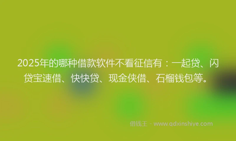 2025年的哪种借款软件不看征信有：一起贷、闪贷宝速借、快快贷、现金侠借、石榴钱包等。