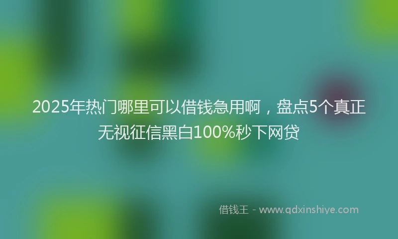 2025年热门哪里可以借钱急用啊，盘点5个真正无视征信黑白100%秒下网贷