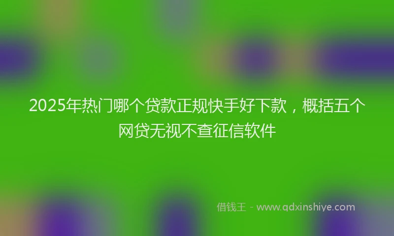 2025年热门哪个贷款正规快手好下款，概括五个网贷无视不查征信软件