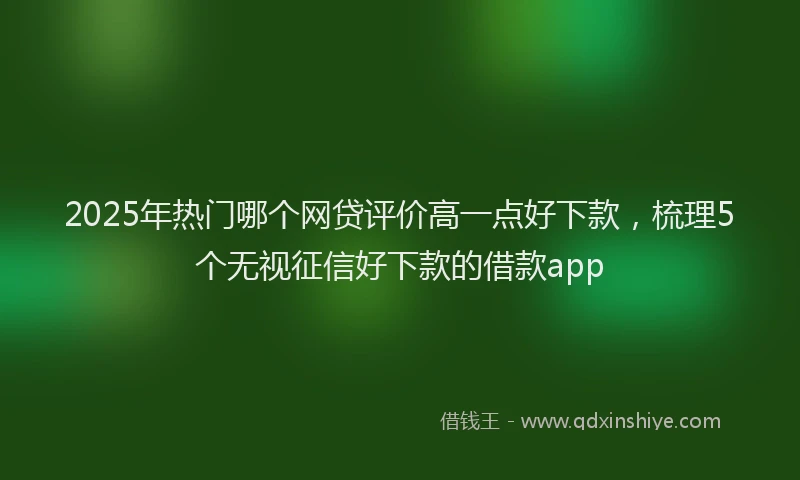 2025年热门哪个网贷评价高一点好下款，梳理5个无视征信好下款的借款app