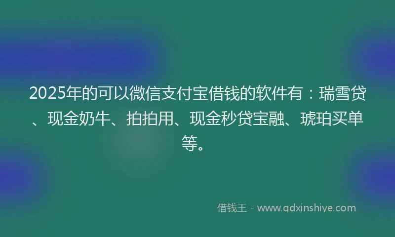 2025年的可以微信支付宝借钱的软件有：瑞雪贷、现金奶牛、拍拍用、现金秒贷宝融、琥珀买单等。