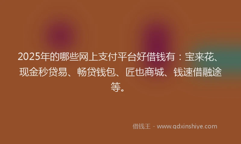 2025年的哪些网上支付平台好借钱有：宝来花、现金秒贷易、畅贷钱包、匠也商城、钱速借融途等。