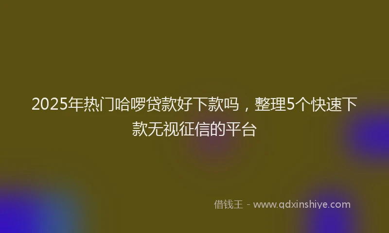 2025年热门哈啰贷款好下款吗，整理5个快速下款无视征信的平台