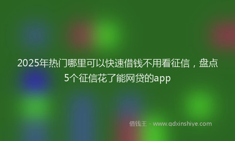 2025年热门哪里可以快速借钱不用看征信，盘点5个征信花了能网贷的app