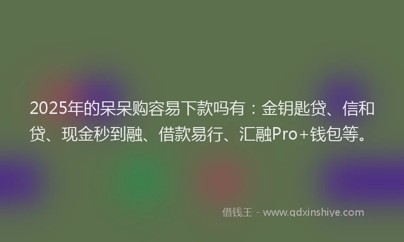 2025年的呆呆购容易下款吗有：金钥匙贷、信和贷、现金秒到融、借款易行、汇融Pro+钱包等。